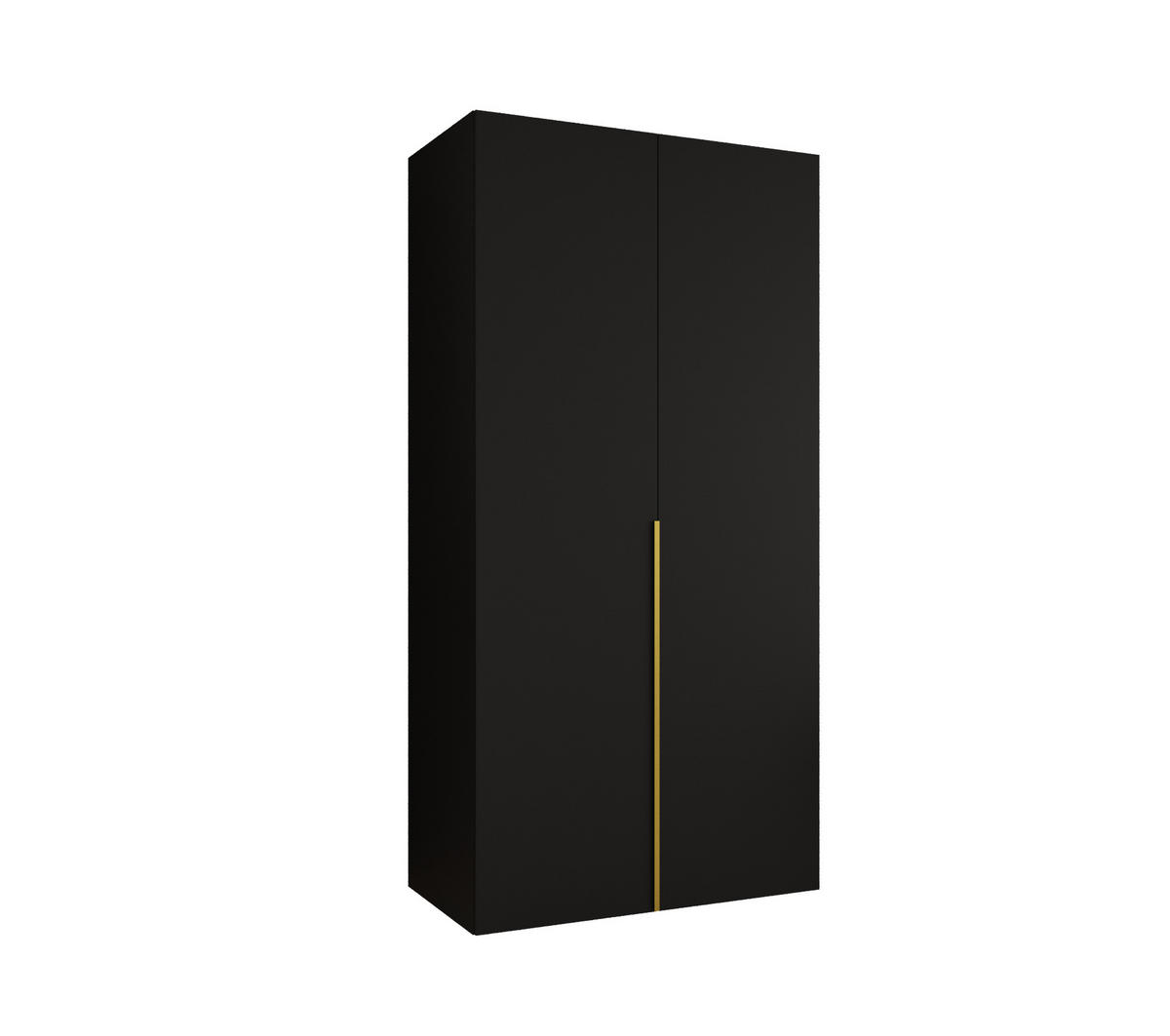 DREHTÜRENSCHRANK 202/100/52 2-türig - Goldfarben/Schwarz, Holz (100/202/52cm) - Abiks Möbel