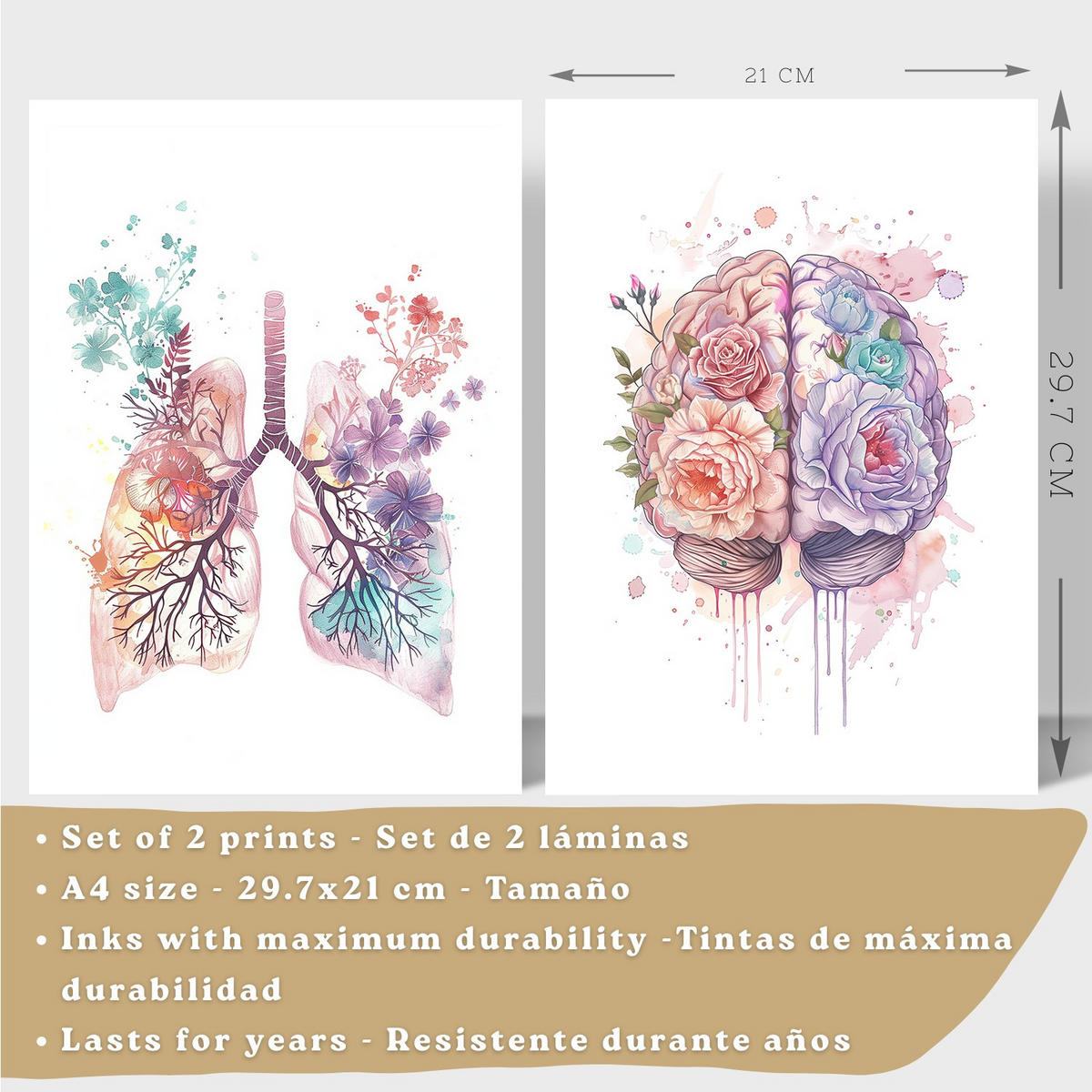 POSTER Set aus 2 Anatomie Mensch Drucke und mit Lungen Luftröhre Bronchien und Gehirn Pastellfarbenes Florales Aquarell Größe Schwarzer Rahmen A4 - Schwarz, Papier (21/29.7/3cm) - Nacnic
