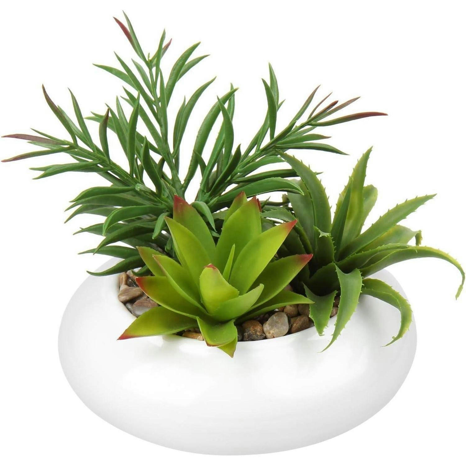 KUNSTPFLANZE Sukkulenten Arrangement im Keramiktopf 18 cm Weiß - Weiß, Keramik (18cm)