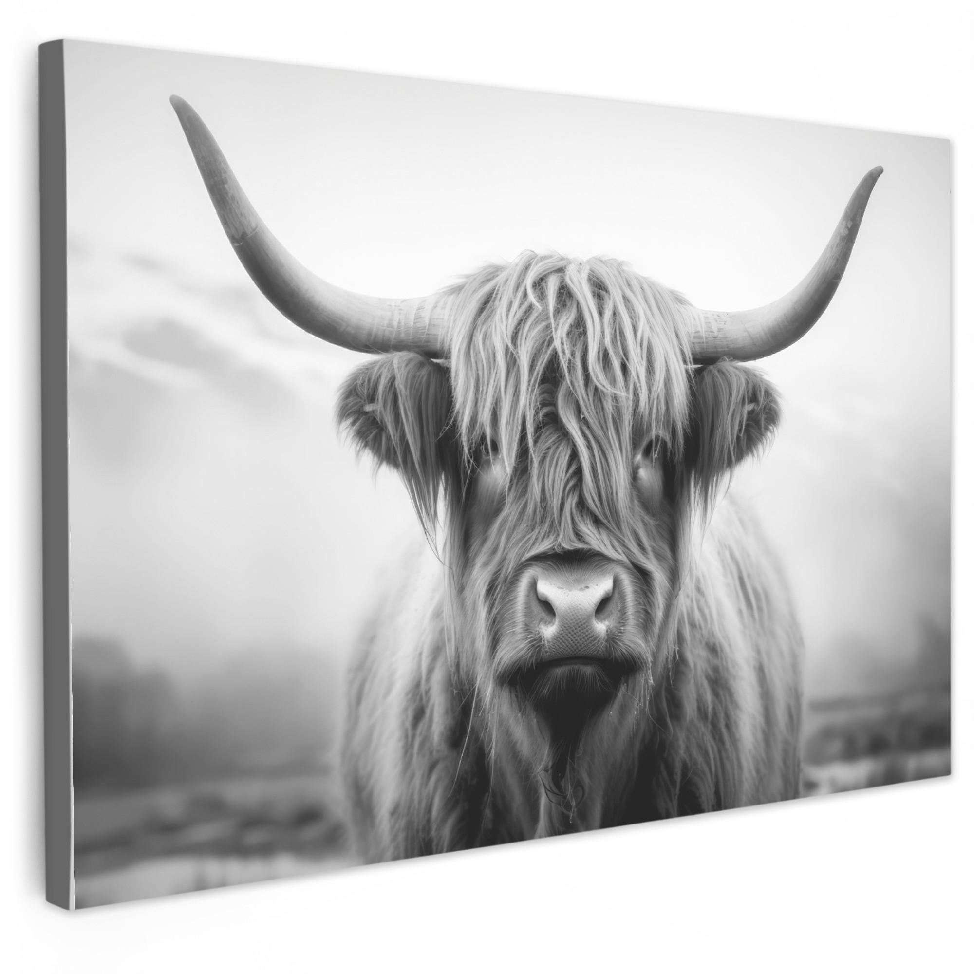 MuchoWow OBRAZ NA PLÁTNĚ Skotský horal - Mlha - Černá - Bílá 90x60 cm