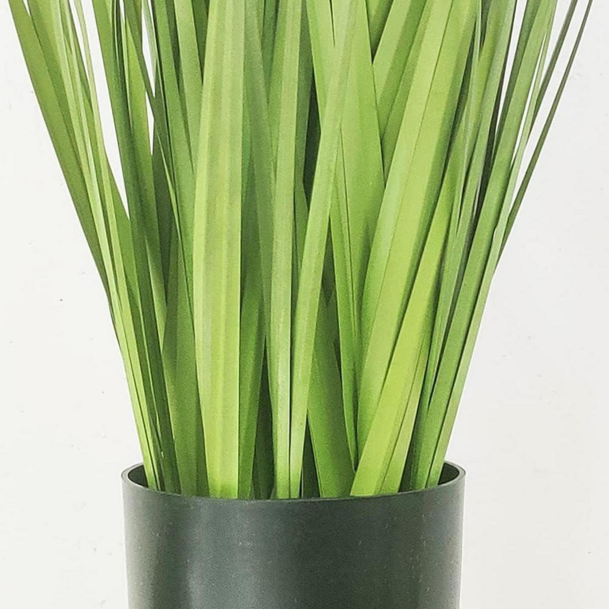 KÜNSTLICHES Gras 55 cm - Grün, Kunststoff (55cm)