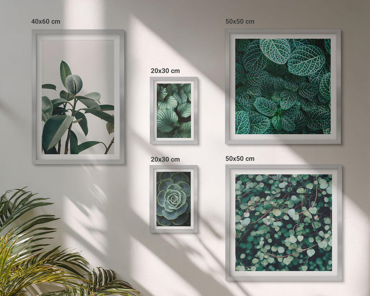 BILDER SET 5er Set - 50x50 cm & 20x30 cm & 40x60 cm Silberner Rahmen - Grüne Wälder, kristallklares Wasser - Silberfarben, Kunststoff (40/60cm) - TULUP