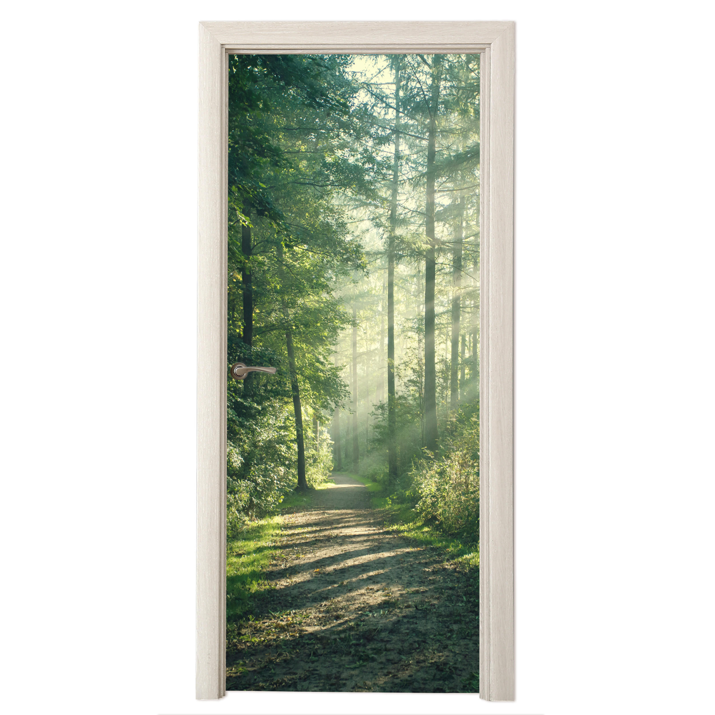 NÁLEPKA NA DVERE Les - Cesta - Slnko - Stromy - Zelená - Príroda 90x235 cm - lesná zelená, plast (90/0.1cm) - MuchoWow
