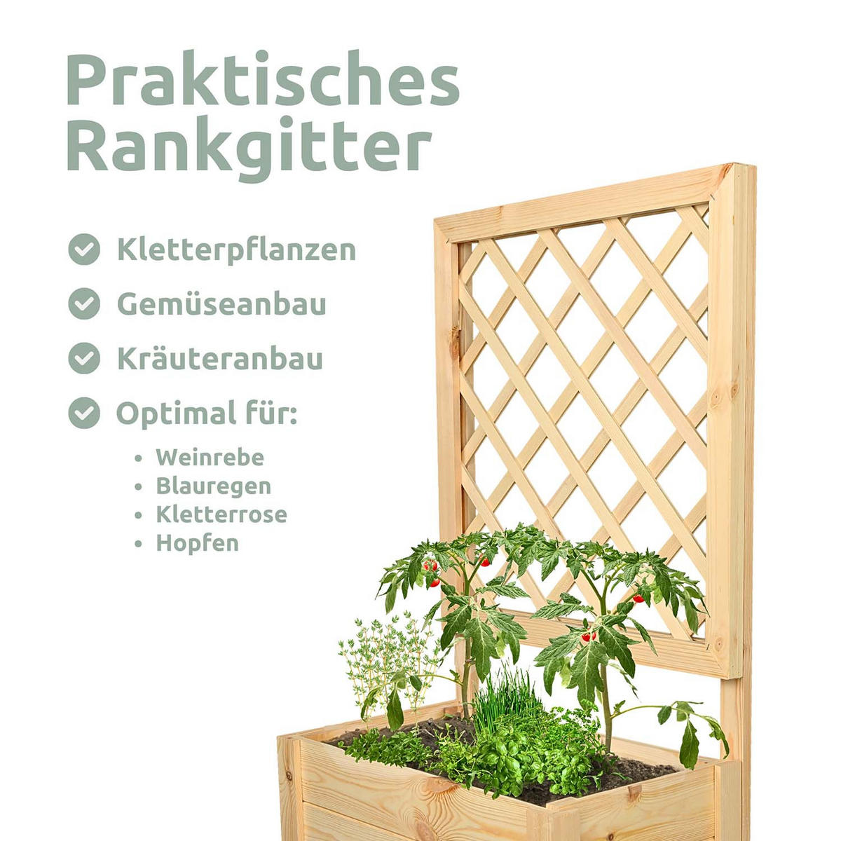 PFLANZKASTEN mit Rankgitter - Kiefer - 58 x 34 x 104cm - Naturfarben, Holz (58/104/34cm) - holz4home