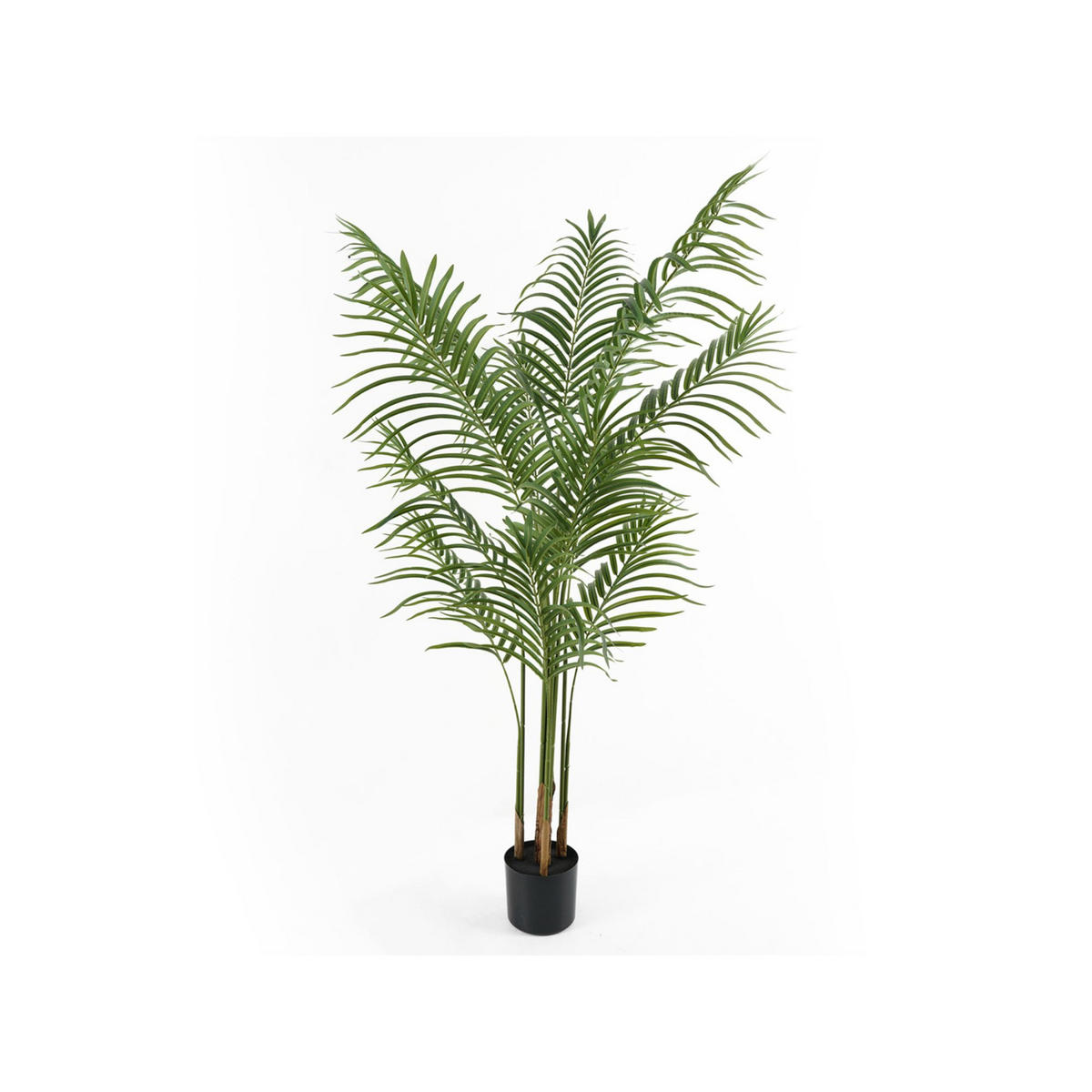 KÜNSTLICHE PFLANZE Kwai Tree Grün 60/60/140 cm - Grün, Kunststoff (140cm) - Present Time
