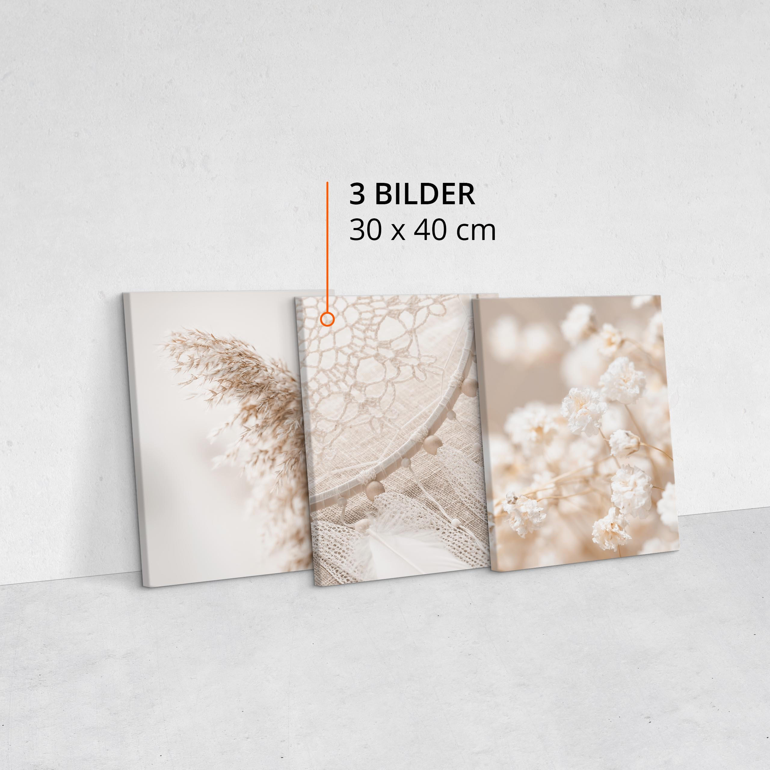 Muralo Leinwandbilder Beige, Braun 90x40 cm