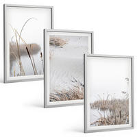 BILDER SET 3er Set - 40x60 cm Silberner Rahmen - Wasserpflanzen im Sommer - Silberfarben, Kunststoff (40/60cm) - TULUP