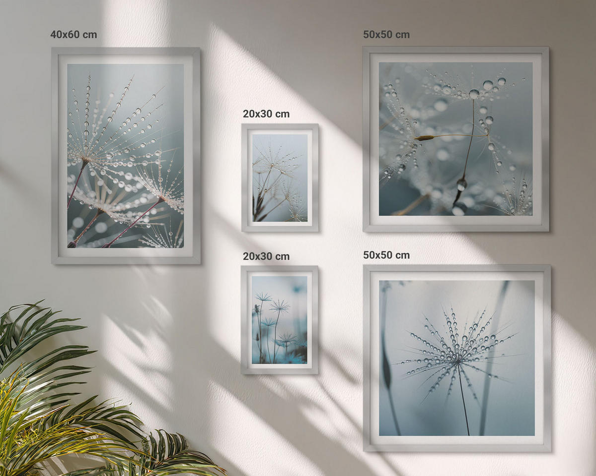 WANDBILDER 5er Set - 50x50 cm & 20x30 cm & 40x60 cm Silberner Rahmen - Tautropfen auf Löwenzahn - Silberfarben, Kunststoff (40/60cm) - ArtPrintCave