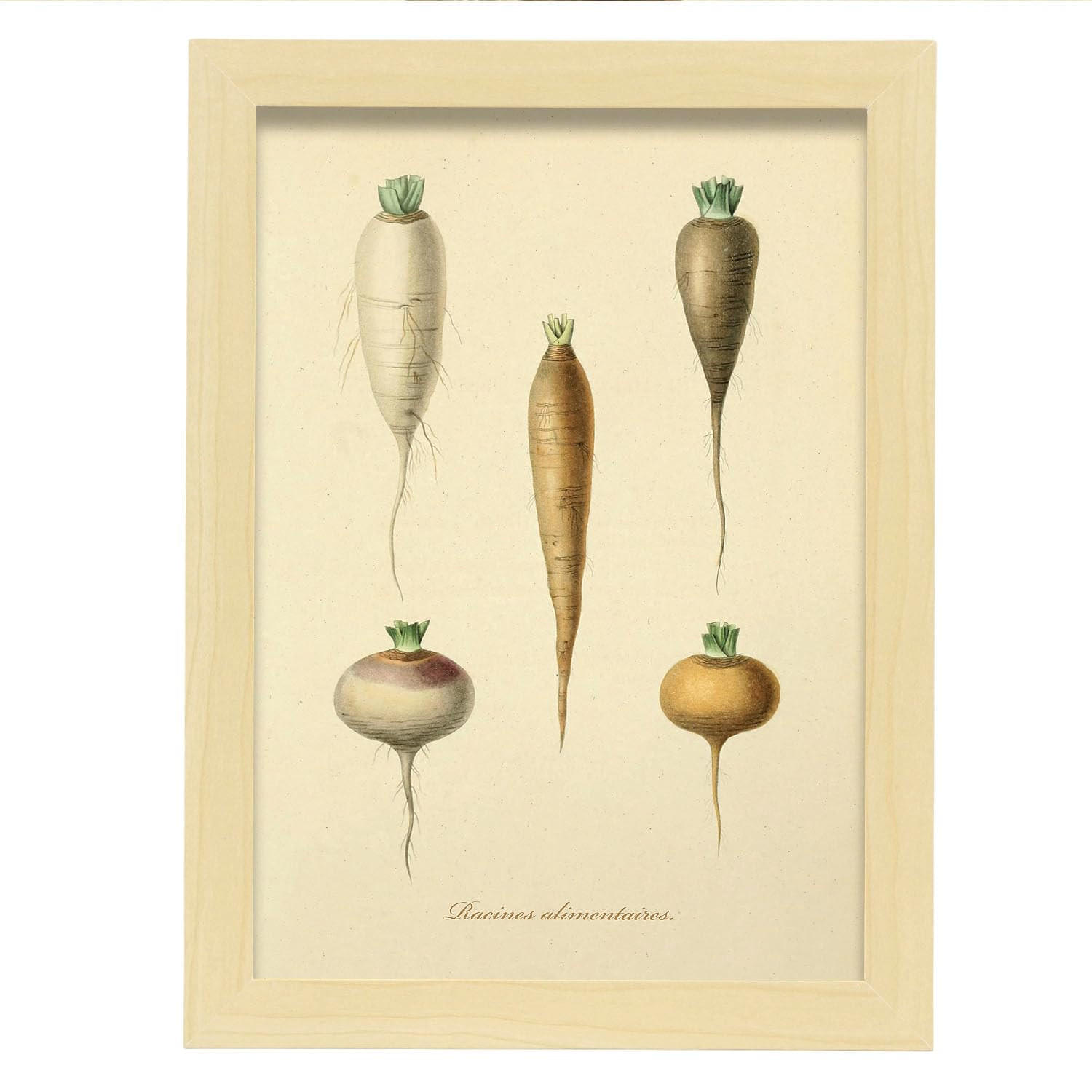 POSTER Rüben A4 Rahmen Aus Hellem Holz - Beige, Papier (29.7/5/21cm) - Nacnic