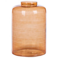 DEKOVASE Glas orange Mirchi - Orange, Glas (41cm) - Beliani