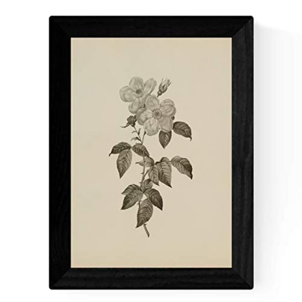 POSTER Set mit 4 Botanischen Stils Rosa weich Jahrgang Hintergrund A3 Rahmenlos - Klar, Papier (29.7/3cm) - Nacnic