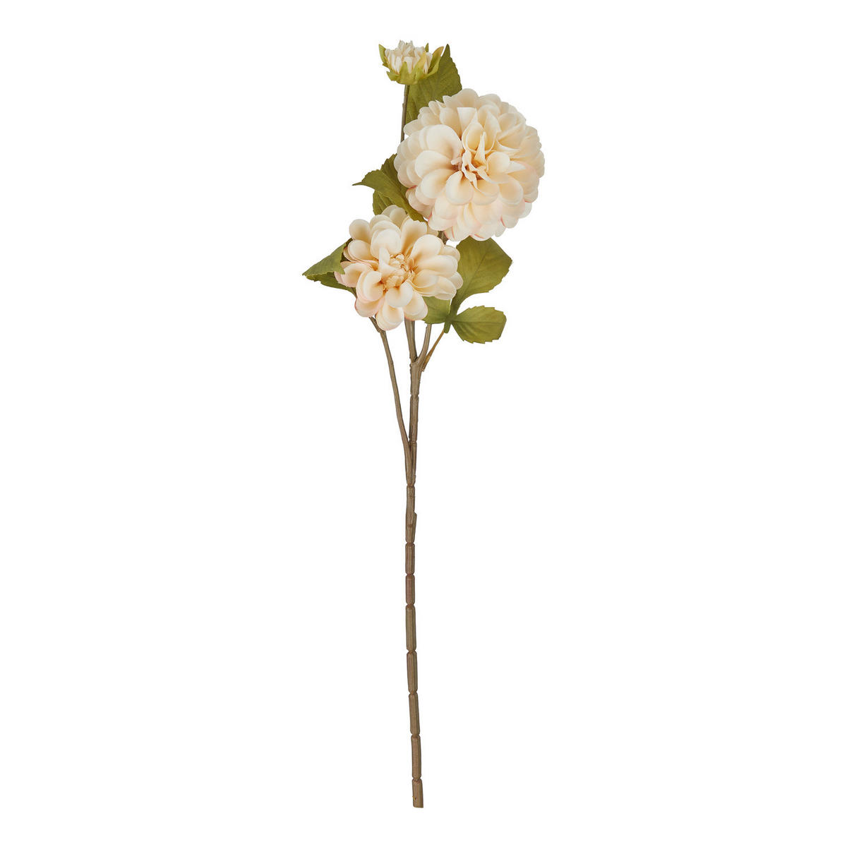 KUNSTBLUME Florista Chrysamtheme - Beige, Kunststoff (63cm) - Butlers