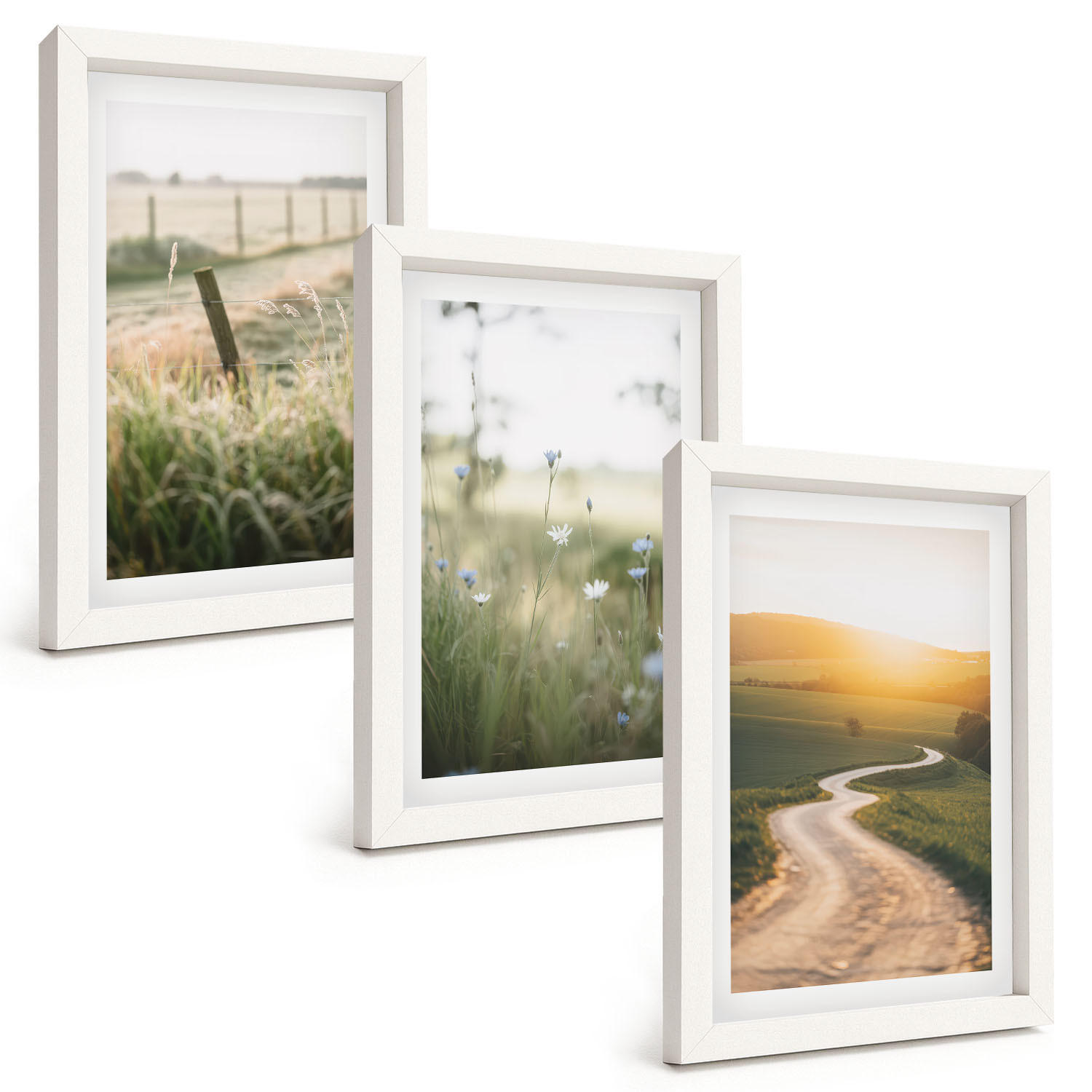 BILDER SET 3er Set - 20x30 cm Weißer Rahmen - Landschaftswiesenstraße West - Weiß, Kunststoff (20/30cm) - TULUP