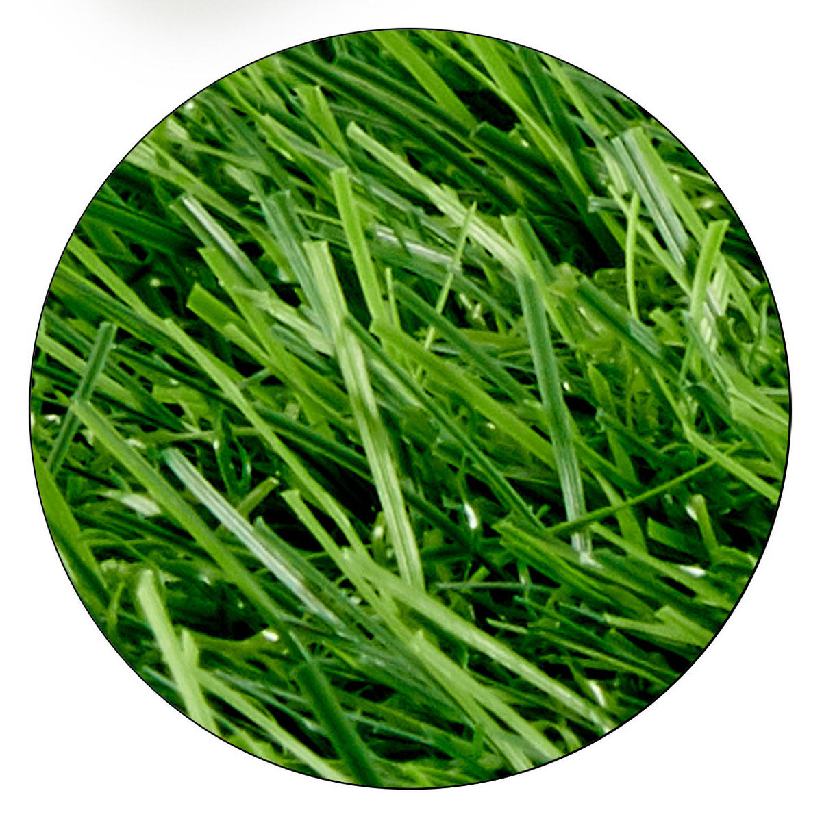 KUNSTRASEN Balkonrolle 1/3 m, H. 2,2 cm - Grün, Kunststoff (300/100/2.2cm)