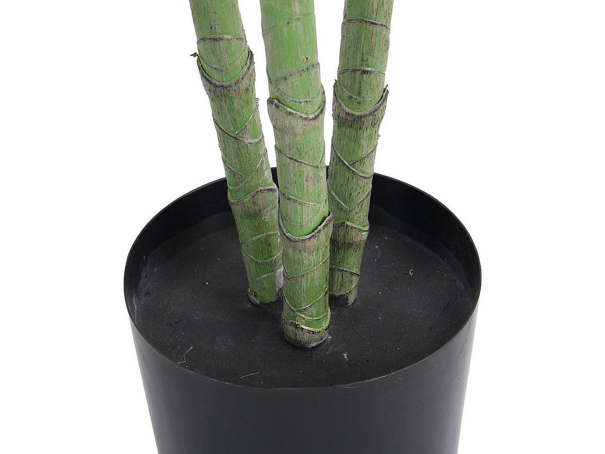 KUNSTPFLANZE - 60 cmcm x 60 cmcm - Plastik, Beton, Zement - Grün - BAJA - Grün, Kunststoff (160cm) - Vente-Unique