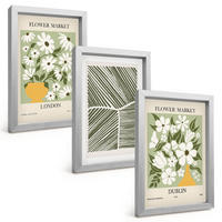 BILDER SET 3er Set - 20x30 cm Silberner Rahmen - Blumenmuster London Dublin - Silberfarben, Kunststoff (20/30cm) - TULUP