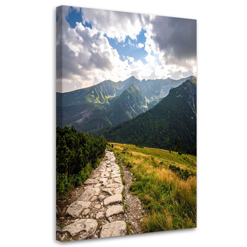 BILDER, Kasprowy Wierch Berglandschaft Natur - Grün, Textil (40/60cm) - Feeby