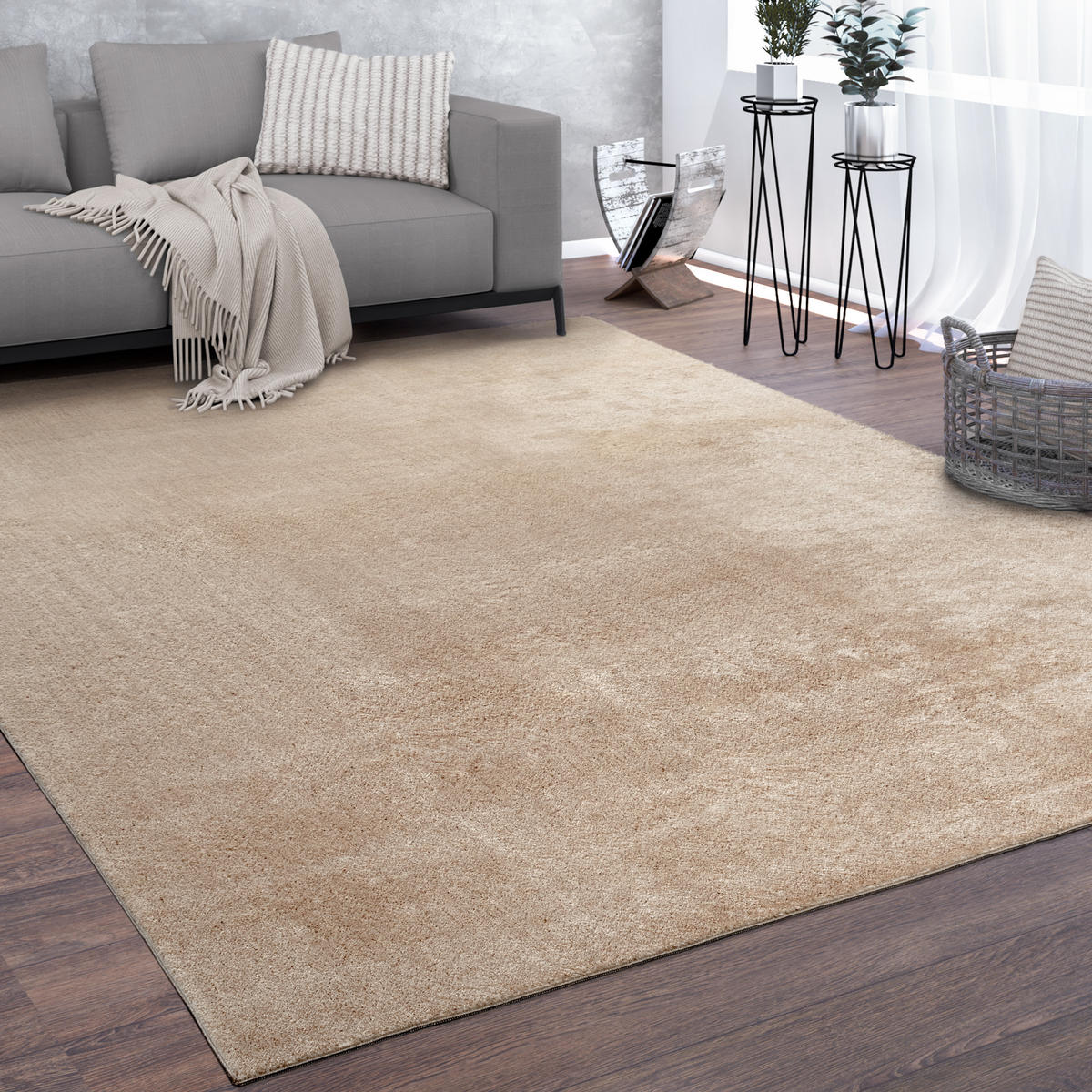 KURZFLORTEPPICH 300/400 cm Cadiz 630 - Beige, Textil (300/400cm) - Paco Home