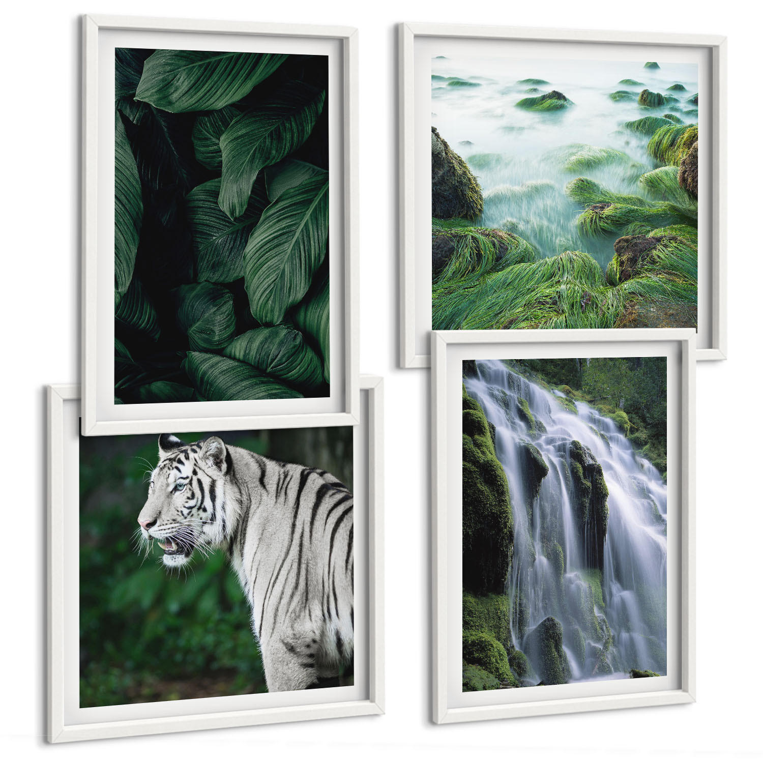BILDER SET 4er Set - 50x50 cm & 40x60 cm Weißer Rahmen - Blätter des Weißen Tigerwasserfalls - Weiß, Kunststoff (50/50cm) - TULUP