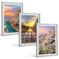 BILDER SET 3er Set - 40x60 cm Silberner Rahmen - Sonnenuntergang am Meer - Silberfarben, Kunststoff (40/60cm) - TULUP