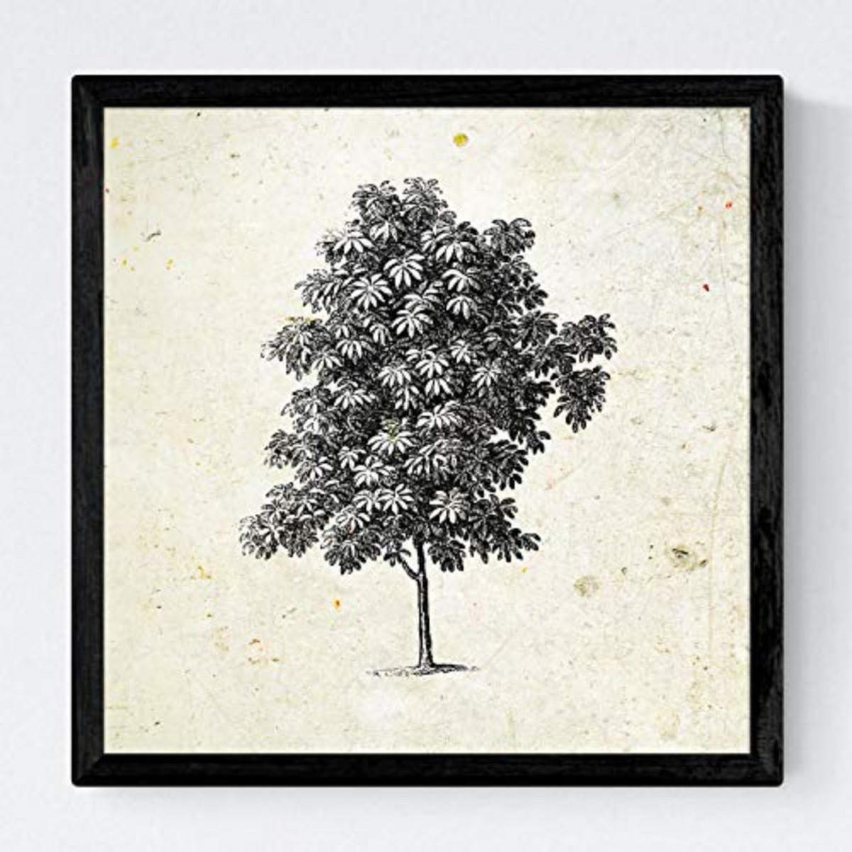 POSTER Set mit 4 Bädern Bäume miese Zweige Weinlese Altpapierhintergrund 20x20cm Rahmenlos - Klar, Papier (20/3cm) - Nacnic