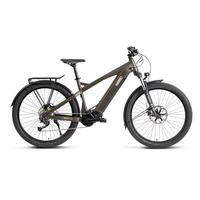 E-SUV E-Bike Green 9 Gang 27,5 Zoll Gr: M & L - Grün, Metall (41cm) - Hawk Bikes
