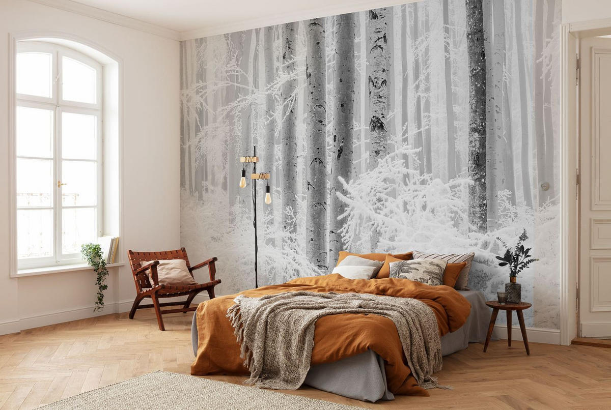 FOTOTAPETE Wald 400 x 280 cm - Grau, Papier (400/280cm) - Sanders & Sanders