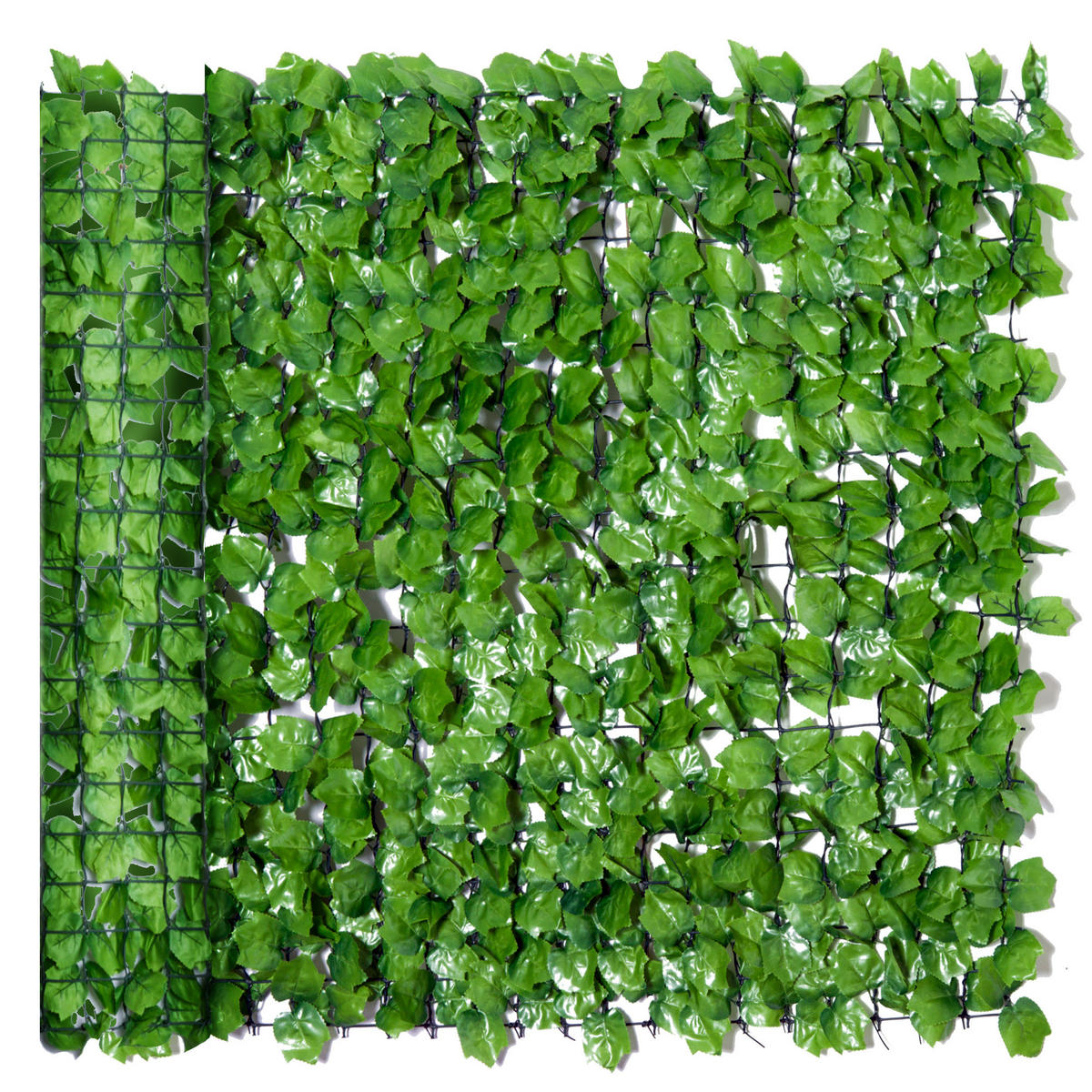 SICHTSCHUTZHECKE, Hellgrün, 300 x 100 cm - Grün, Kunststoff (100/100cm) - Outsunny