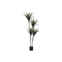 KUNSTPFLANZE - 50 cmcm x 40 cmcm - Plastik - Grün - LYA - Grün, Kunststoff (150cm) - Vente-Unique