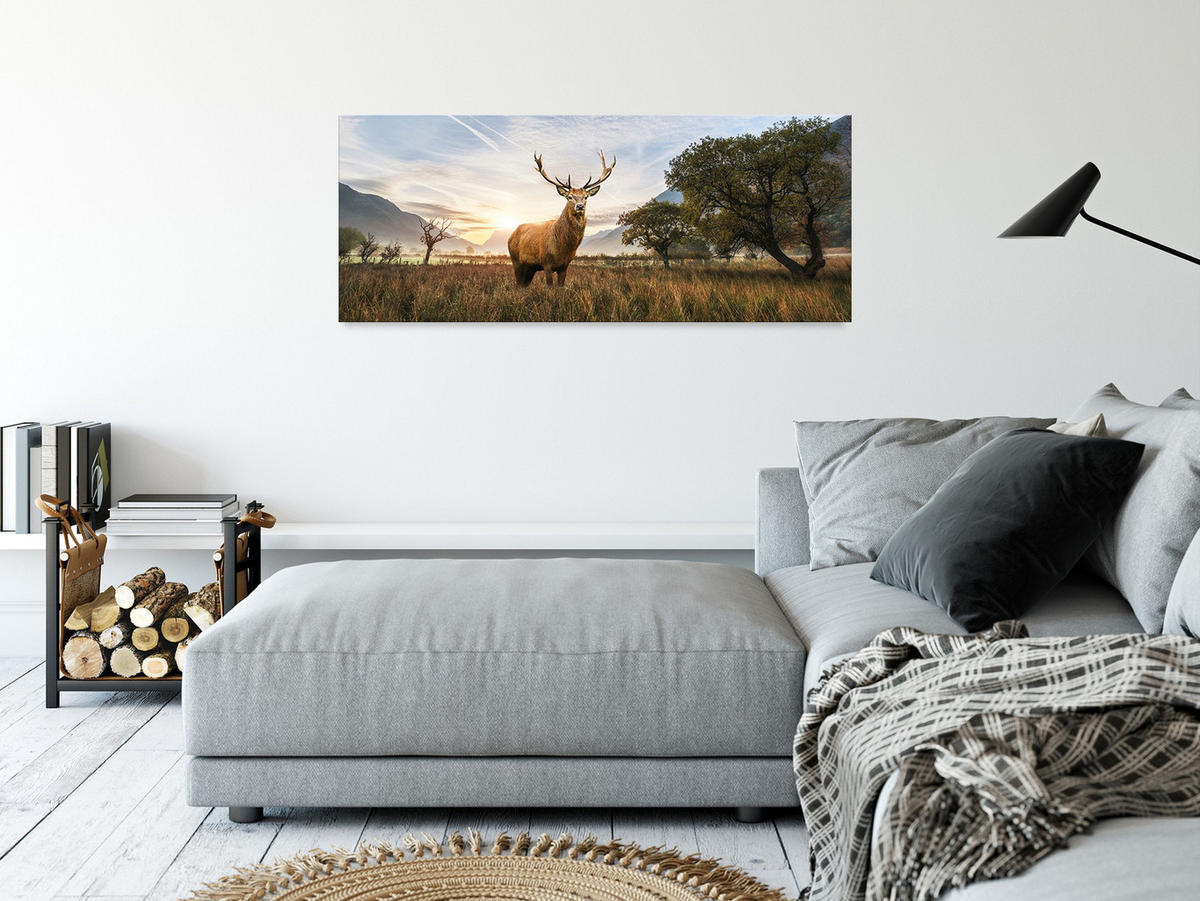 GLASBILD 125x50 cm Hirsch Tiere - Beige, Glas (125/50cm) - artissimo