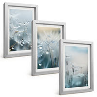 BILDER SET 3er Set - 20x30 cm Silberner Rahmen - Tautropfen auf Löwenzahn - Silberfarben, Kunststoff (20/30cm) - TULUP