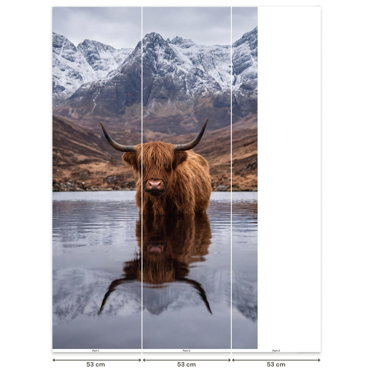 TAPETE - Schottischer Hochländer - Braun - Wasser - 120x200 cm - Braun, Papier (120/200cm) - OnlyWow