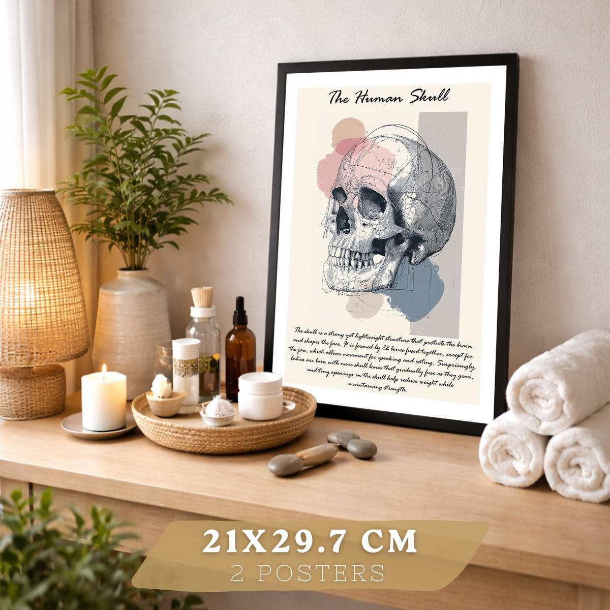 POSTER Set aus 2 Anatomie Mensch Lernposter Drucke und Wandbilder mit Skelett Rippen und Schädel Klinik Büro Dekoration Größe Schwarzer Rahmen A4 - Schwarz, Papier (21/29.7/3cm) - Nacnic
