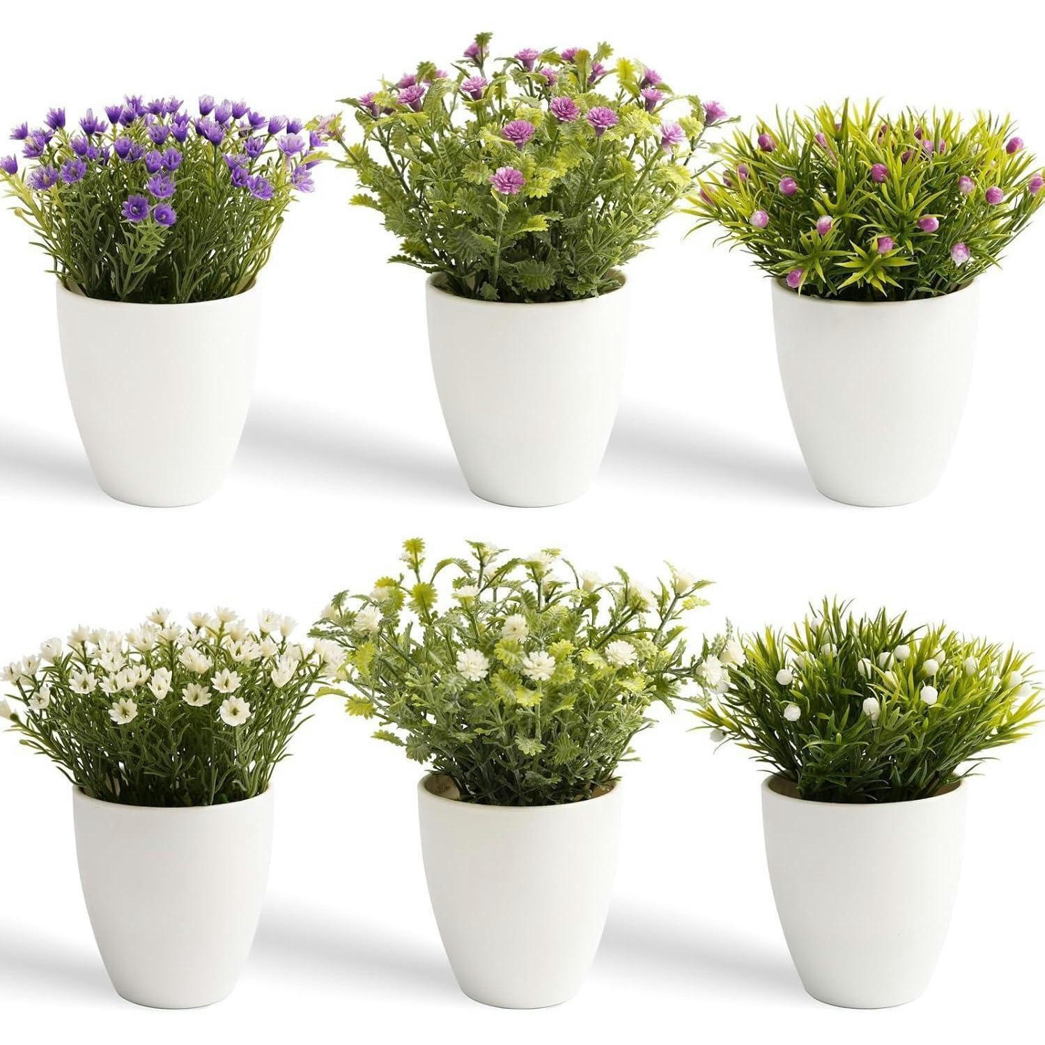 KUNSTPFLANZE 6-teiliges Set 16 cm - Multicolor, Kunststoff (11cm)