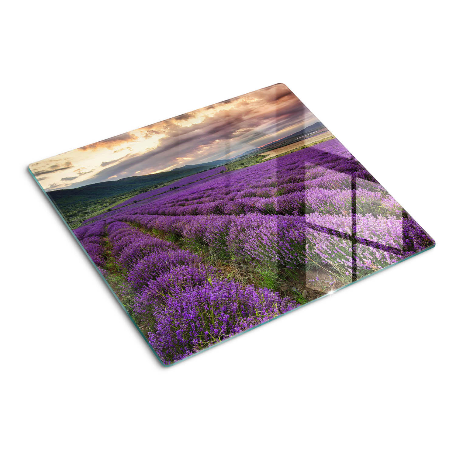 GLASPLATTE 60x52 cm Lavendelfeld - Lila, Glas (60/0.4/52cm) - TULUP