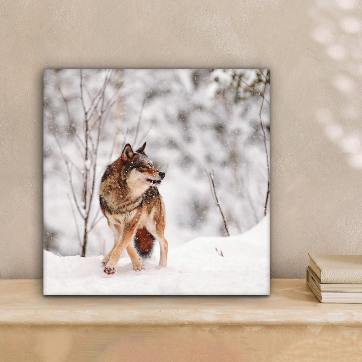 LEINWANDBILD Wolf - Winter - Schnee - Natur - Tiere Deko Wohnzimmer 20x20 cm - Haselnussfarben, Textil (20/20cm) - MuchoWow