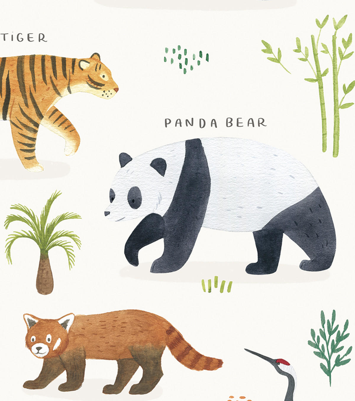 POSTER Tiere aus Asien, 30x40 cm - Beige/Multicolor, Papier (30/1/40cm) - Lilipinso