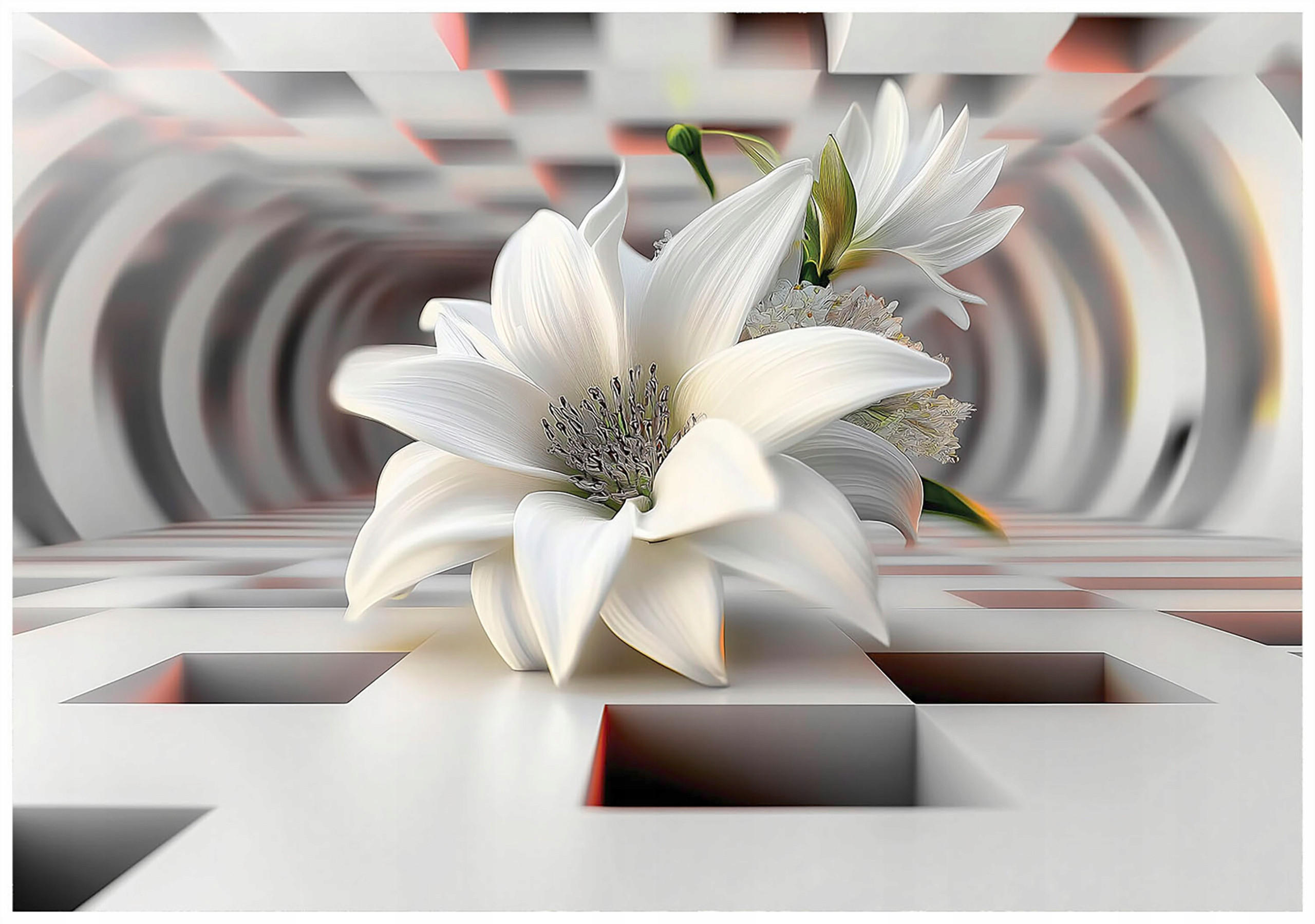 FOTOTAPETE Blumen 3D Effekt Vlies Tapete Wohnzimmer Schlafzimmer 250x175 - Grau, Papier (250/175cm) - Wallarena