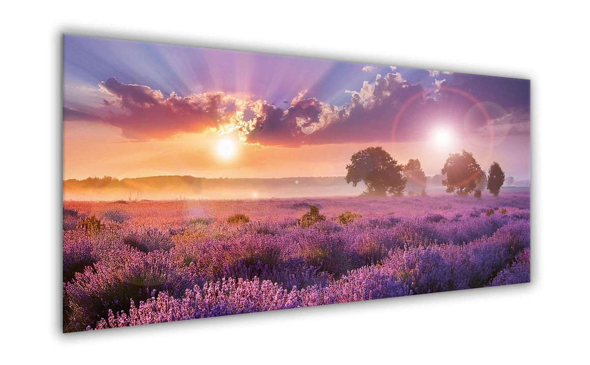 GLASBILD 125x50 cm Landschaft lila - Gelb, Glas (125/50cm) - artissimo