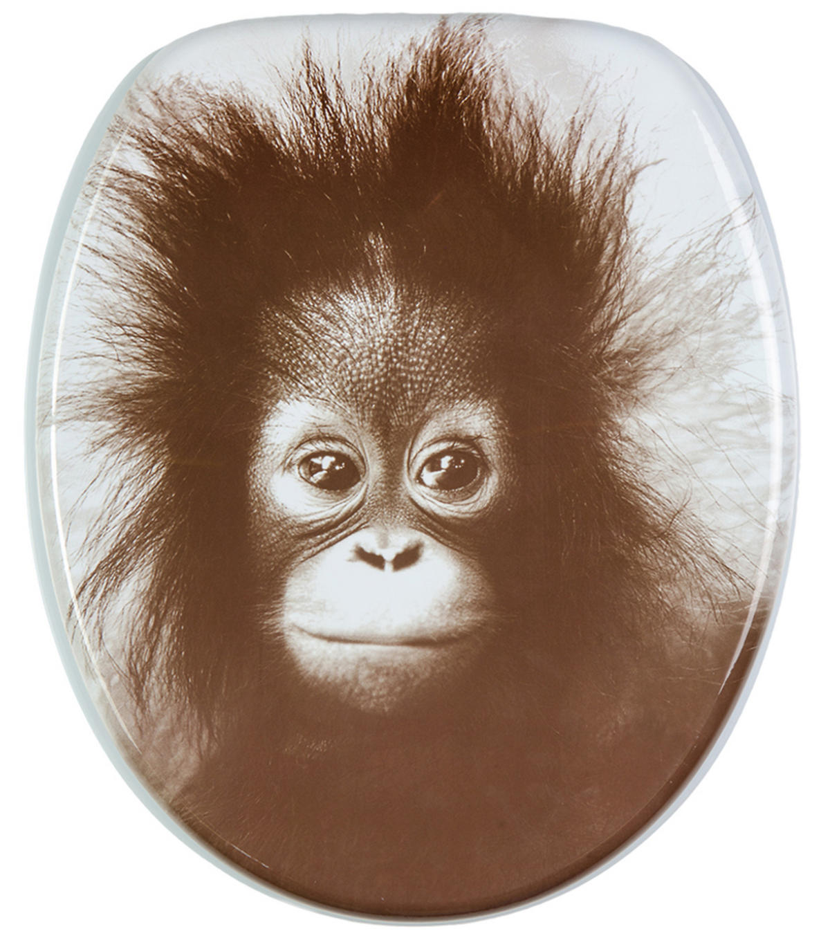 WC-SITZ Alfred - Braun, Holzwerkstoff (38/6/47cm) - Sanilo