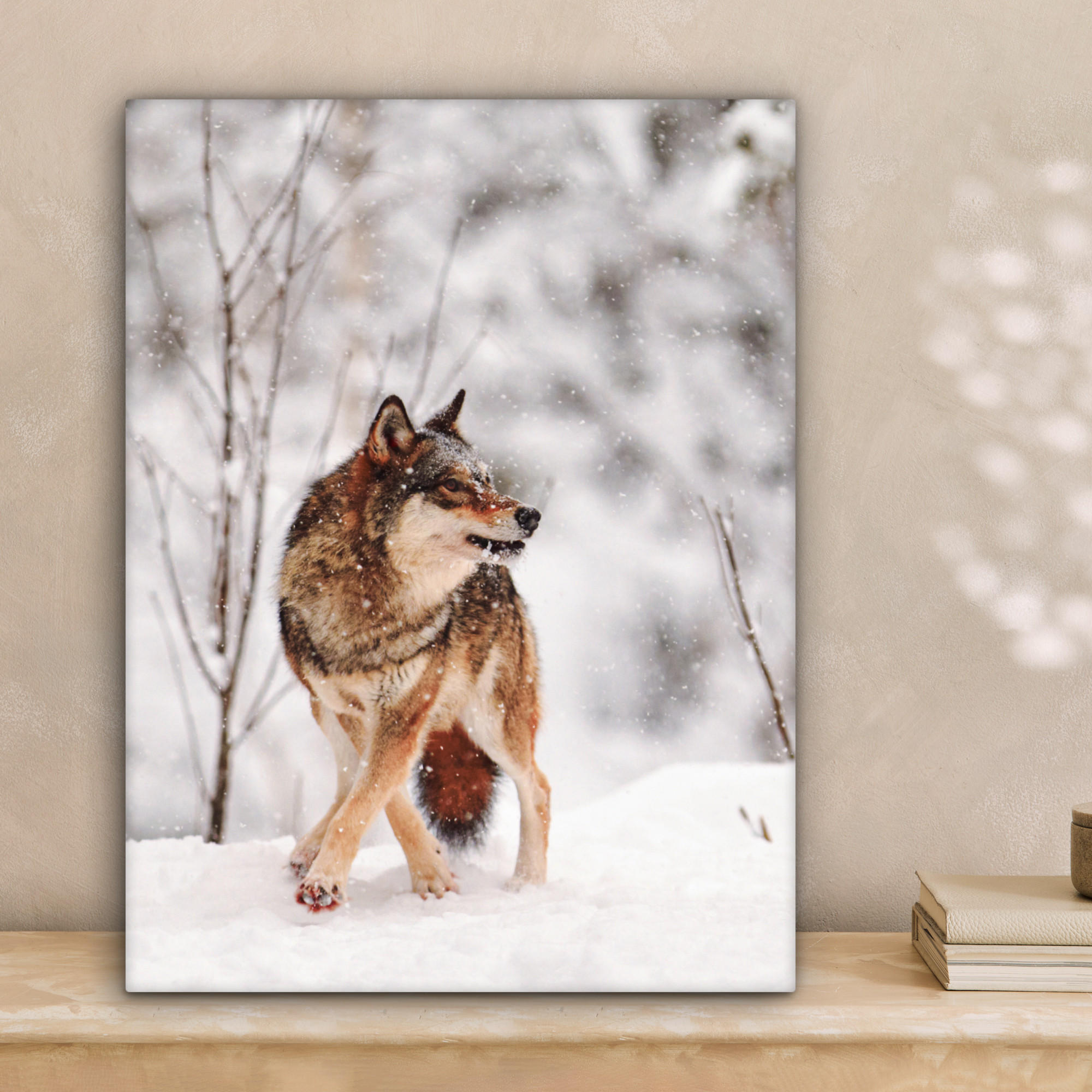 LEINWANDBILD Wolf - Winter - Schnee - Natur - Tiere 30x40 cm - Haselnussfarben, Textil (30/40cm) - MuchoWow