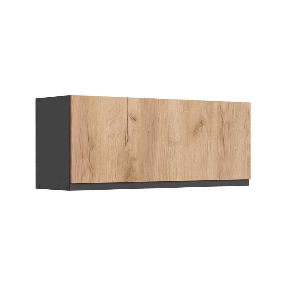 HÄNGESCHRANK R-Line, Goldkraft Eiche/Anthrazit, 100 cm Flach - Honigeiche/Anthrazit, Holzwerkstoff (100/40/31cm) - Vicco