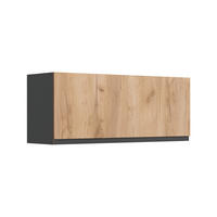 HÄNGESCHRANK R-Line, Goldkraft Eiche/Anthrazit, 100 cm Flach - Honigeiche/Anthrazit, Holzwerkstoff (100/40/31cm) - Vicco