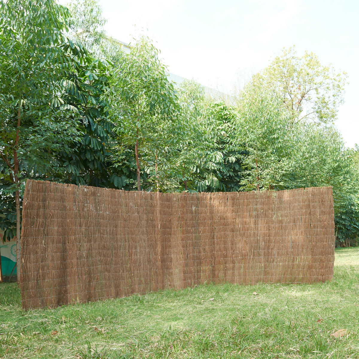 REISIGZAUN Brielle - Naturfarben, Naturmaterialien (100/0.6cm) - casa.pro
