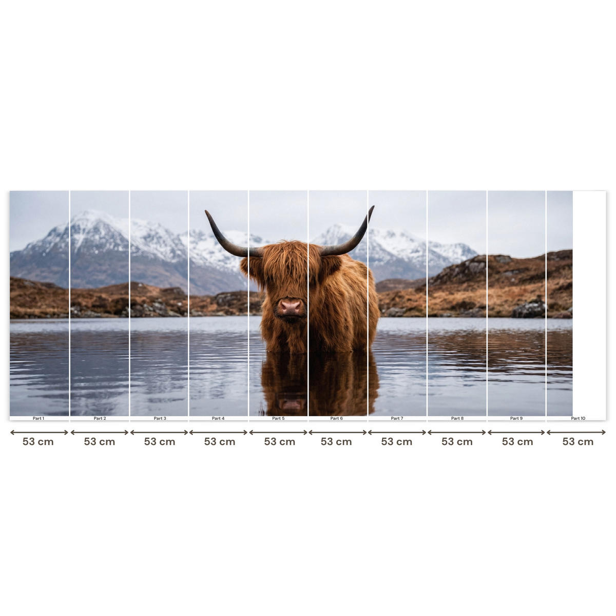 TAPETE - Schottischer Hochländer - Braun - Wasser - 500x200 cm - Braun, Papier (500/200cm) - OnlyWow