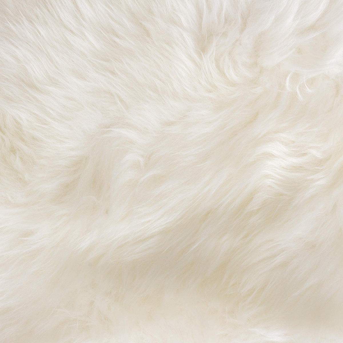 TEPPICH 180/110 cm Lammfellimitat Polyester Weiß - Weiß, Textil (180/110cm) - Livingandhome