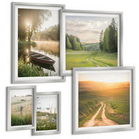 BILDER SET 5er Set - 50x50 cm & 20x30 cm & 40x60 cm Silberner Rahmen - Landschaftswiesenstraße West - Silberfarben, Kunststoff (40/60cm) - TULUP