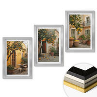 WANDBILDER 3er Set - 20x30 cm Silberner Rahmen - Garten-Zitrus-Sonne - Silberfarben, Kunststoff (20/30cm) - ArtPrintCave