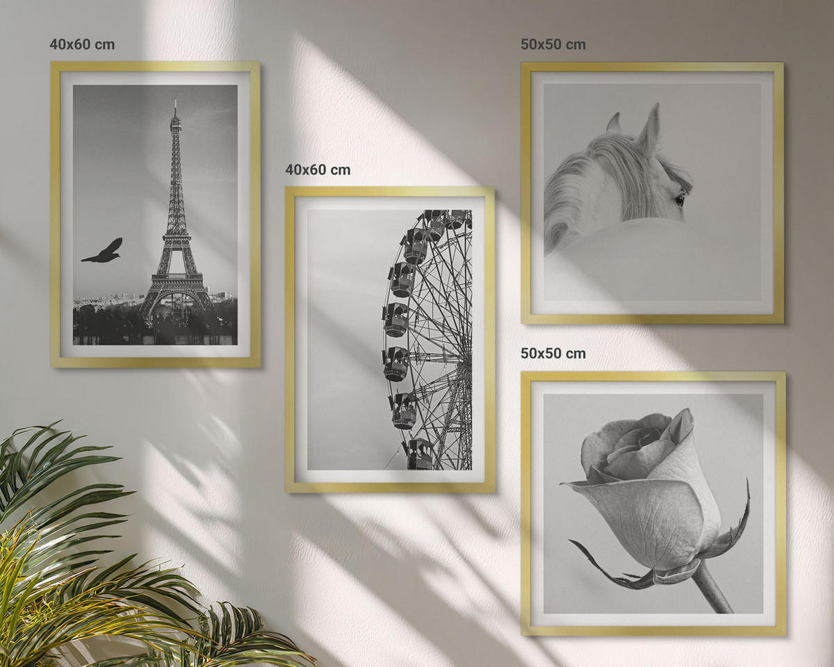 WANDBILDER 4er Set - 50x50 cm & 40x60 cm Goldrahmen - Rose Eiffelturm Pferd Riesenrad S/W - Goldfarben, Kunststoff (50/50cm) - ArtPrintCave
