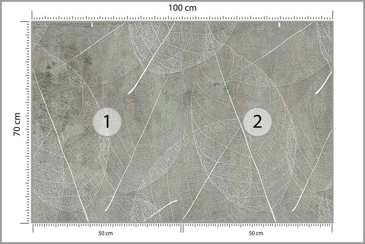 FOTOTAPETE für Wohnzimmer Weiße Blätter auf Beton Minimal 100x70 - Weiß/Grau, Papier (100/70cm) - Muralo